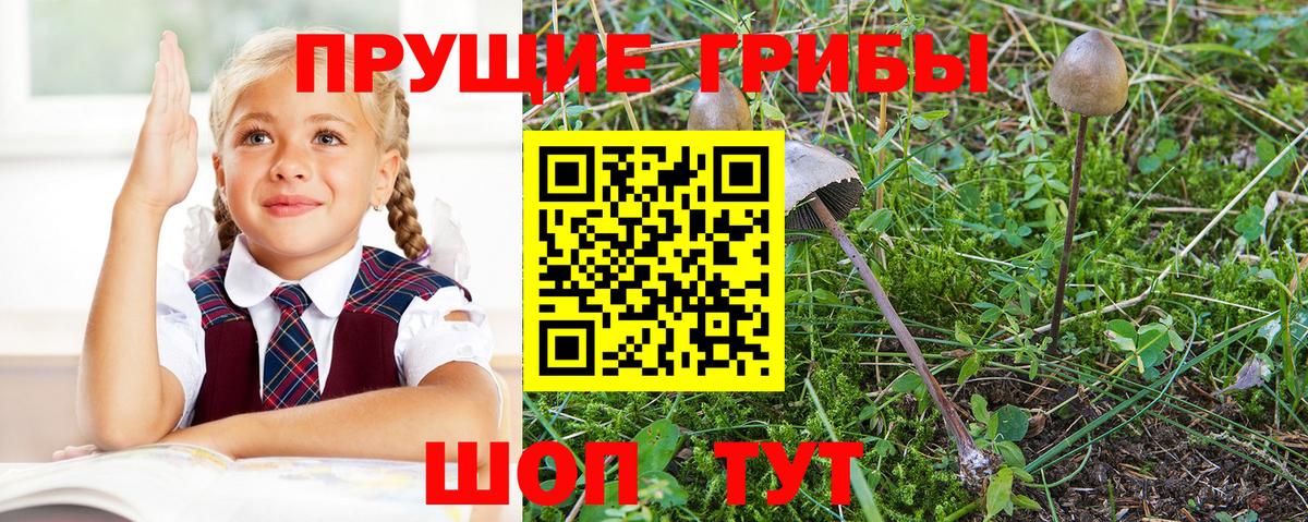 Еманжелинск  Галлюциногенные грибы мицелий  Псилоцибиновые грибы GOLDEN TEACHER  Вход с VPN 
