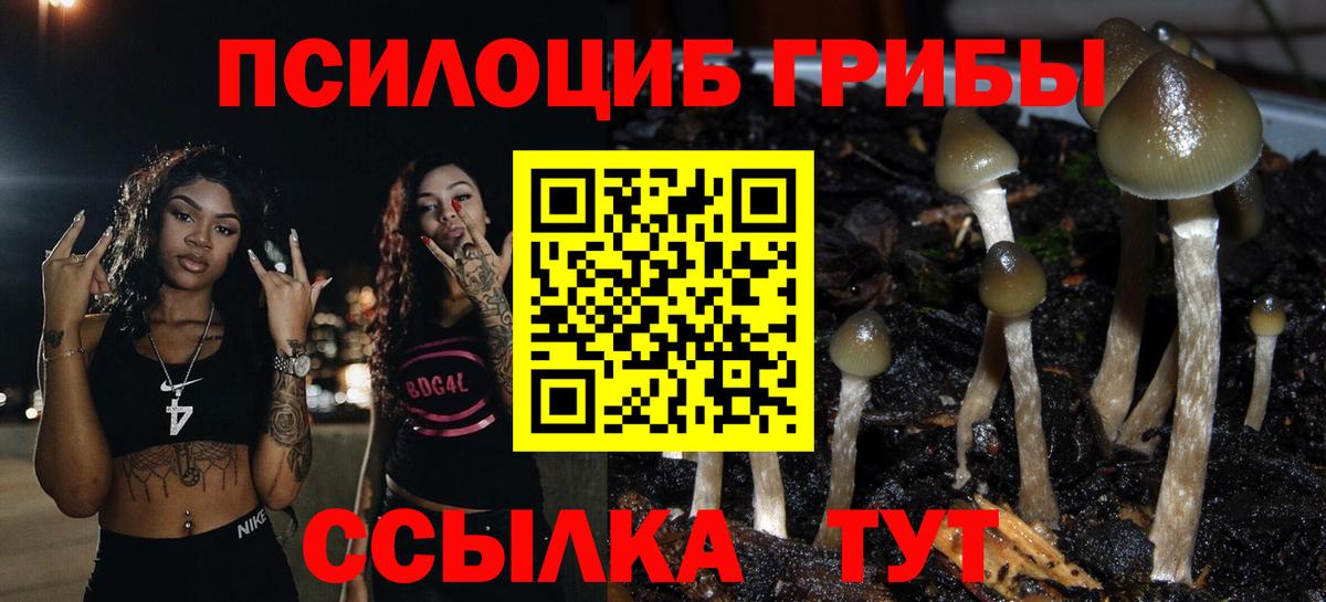 Псилоцибиновые грибы Psilocybine cubensis Еманжелинск